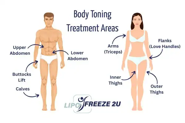 Graphic showing where you can have Body toning Treatment West Sussex on your body